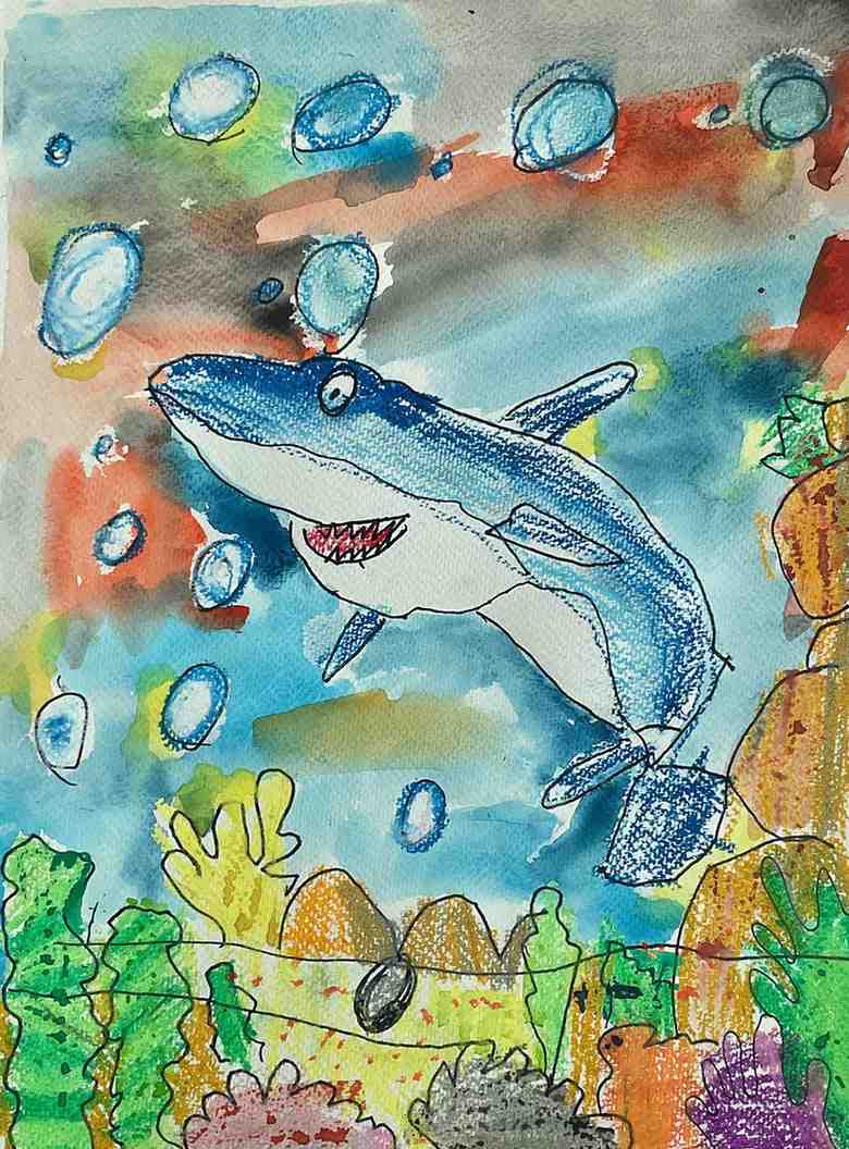 The Blue Shark Beneath the Sea