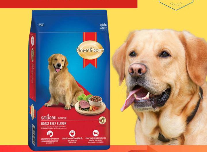 10 อันดับ อาหารสุนัขโต ชนิดแห้ง แบบเม็ด สำหรับสุนัขโต แบบถุงใหญ่ ยี่ห้อไหนดี ซื้อแล้วคุ้มกว่า น้องหมาชอบ